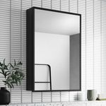 Plantex Heavy-Duty Stainless Steel Bathroom Mirror Cabinet/Bathroom Organiser with Mirror/Bathroom Shelf with Mirror/Mirror Cabinet for Wash Basin/Mirror with Storage (14x20 Inch|Black)