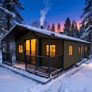 Tiny Home 
