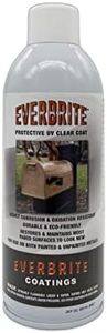 Everbrite 12 Oz. Aerosol Clear, Protective Coating for Metal