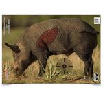 Pregame 16.5? X 24? Boar Target-3 Targets
