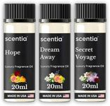 Designer Perfume Dupe Diffuser Oil 3X20ml | Inspired by Iconic Perfumes| Essential Oil Blend for Aromatherapy waterless diffusers & Humidifiers |Notes of Sandalwood, Rose, Lavender, Jasmine