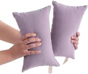 BEDSUM 2 Pack Tiny Pillows, 11"x7" Microfiber Mini Pillows for Toddler, Travel, Pets, Soft and Machine Washable Small Pillows for Neck, Wrist, and Knee Comfort, Lavender