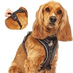 Elite Paws® UK: Premium Metal Buckle Dog Harness, Strong, Safe, Padded, Comfortable, Adjustable, Reflective, Front/Back Lead Attachments, Soft Handle, Pet Walking Vest/Training Product (Black, Medium)