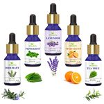 Homeda Essential Oils - Lavender, Tea Tree, Rosemary, Sweet Orange, Peppermint - 15ML each - Set of 5 for Hair Growth, Skin care, Diffuser essential oil for Home Fragrance