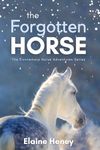 The Forgotten Horse - Book 1 in the Connemara Horse Adventure Series for Kids. The perfect gift for children age 8-12.