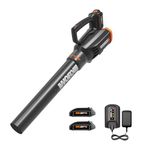 WORX WG547.1 20V Power Share Cordless 2 Speed Leaf Blower with 2 Batteries