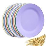 Set of 10 Large Dinner Plates 11 Inch, Reusable Wheat Straw Dessert Dishes, Round Pasta Salad Serving Plate, Unbreakable Kids Fiber Tableware for Party Steak Pizza (Assorted Color)