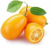 Fresh kumquat 1kg - Exotic Fruit - Fresh from Spain