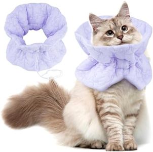 Cat Recove