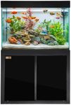 Aqua Dream 100 Gallon Fish Tank Aqu