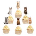 Cat Cupcake Toppers,Cute Cat Kitten Cupcake Toppers Picks for Pet Themed Party, Birthday Party,Cat Lover Kitten Theme Baby Shower Kids Birthday Wedding Party Cake Decorations Supplies.18PCS