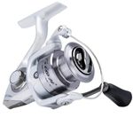 Pflueger Trion Spinning Fishing Reel