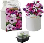 Pronto Seed Petunia Growing Kit wit