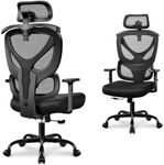 Winrise Office Chair Ergonomic Desk Chair Comfy Computer Chair, Big and Tall Home Office Chair with Back Support, Mesh Office Chair High Back Gaming Chair with Adjustable Armrest (Black)