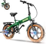 Folding Electric Bike,750W Motor(Pe