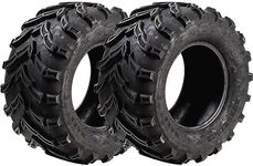 Astroay 25x10-12 Mars-B Utility ATV