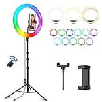 Weilisi 12'' Ring Light with Stand 