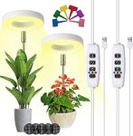 Halo Ring Grow Lights for Small Ind