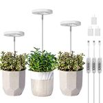 LORDEM Grow Light, Full Spectrum LED Plant Light for Indoor Plants, Height Adjustable Growing Lamp with Auto On/Off Timer 4/8/12H, 4 Dimmable Brightness, Ideal for Small Plants, Pack of 3