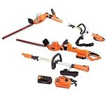 Cordless Pole Hedge Trimmer Electri