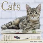 Cats Calendar - 2016 Wall calendars - Animal Calendar - Monthly Wall Calendar by Avonside Studio