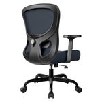 Lumbar Office Chairs