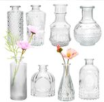 Brajttt Clear Flower Vase Set, Glas