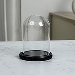 Belle Vous Glass Dome Cloche Bell Jar with Black Wooden Base - 9.7cm / 3.82 Inches - Clear Decorative Tabletop Display Case with Tray for Fairy Lights, Centrepieces and Antiques