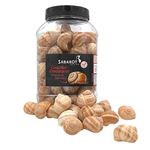 Snail Shells 96 Pieces