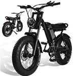 electric bikes EBIKE for Adults with 48V 20AH Battery