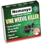 Nemasys vine weevil killer 12sq m -