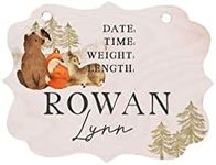 Hospital Door Hanger Boy Girl Nursery Woodland Animals Name Sign Birth Stats Sign Girl Hospital Door Wreath Announcement Sign New Baby Keepsake