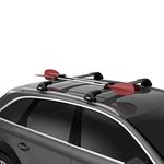 Thule JawGrip Paddle Holder - Rooftop Oar Carrier - Windsurfing mast Carrier - Carry 2 Paddles or oars - t-Track Compatible - Durable Rubber Padding Protects Gear - 15lb Weight Limit