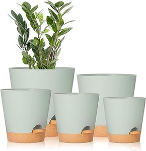 5 Pcs Plan