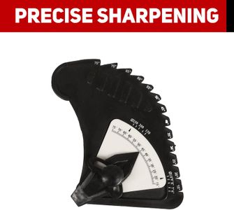 BUCKTOOL 250mm Variable Speed Sharpener – Wet Stone Grinder