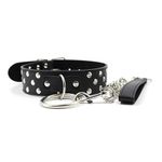 Choker Collar for Women Adult Human Submissive Collar and Leash Lead Women Bedroom Collar Vegan Leather Choker Necklaces Goth Punk Rock Collar Women and metal Leash