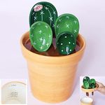 Cactus Mea