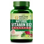 Vlado's Himalayan Organics Plant Based Vitamin B12 Supplement | B1,B2,B3,B5,B6,B7,B9,Moringa| Boost Energy Level | For Memory, Brain, Heart & Nervous System Support | B12 supplement for Men & Women - 120 Veg Capsules