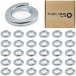 M10 (10mm) Spring Washer Set - Steel - Evelyne (Pack of 30)