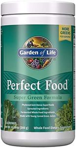 Garden of 