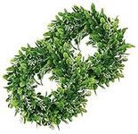 LSKYTOP 2 Pack Boxwood Wreath Round