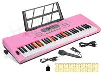 Hricane 61 Keys Piano Keyboard with Microphone Piano Note Sticker Power Supply Music Stand Electronic Digital Keyboard Gift for Beginners Adults Men Women Children