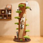 Super Large Cat Condo Cat Scratchin
