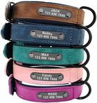 Didog Custom Leather Dog Collars wi