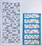 Crystals 600 EXTRA LARGE BINGO FLYERS - BINGO TICKETS FOR VISUALLY IMPAIRED - WHITE