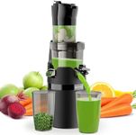 Masticating Juicer Machine for Whol