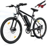 isinwheel M10 Electric Bike for Adu