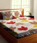 RD TREND Presents Luxurious Glace Cotton Super Soft 210 TC 360° Elastic Fitted Bedsheet Queen Size (78X60X8 Inch) with 2 Pillow Covers, Color-Cream