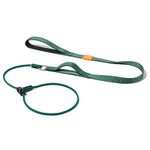 HOWGO Dog Slip Lead Dog Leash,Training Leash,Cinch Leash, No-Pull Slip Leash and Collar,Heavy Duty&Durable,Padded Handle,for All Breeds(Green, 5FT)