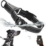 Airtag Dog Collar with Martingale D